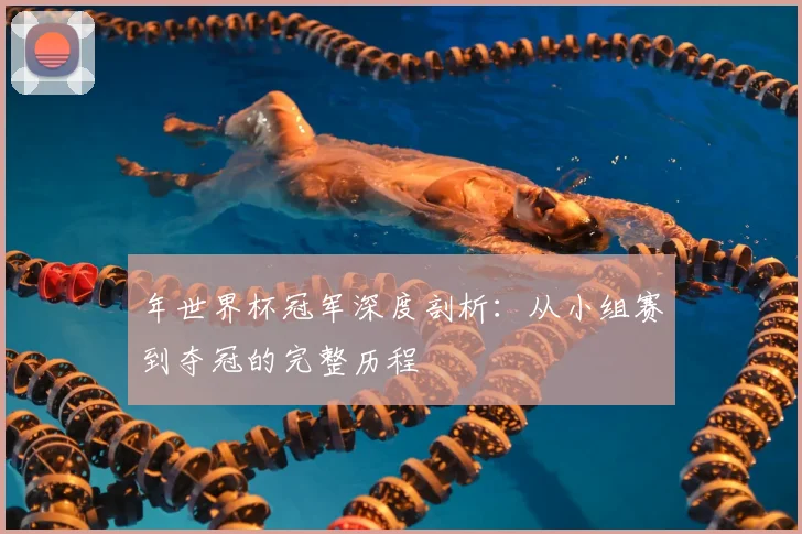 年世界杯冠军深度剖析:从小组赛到夺冠的完整历程