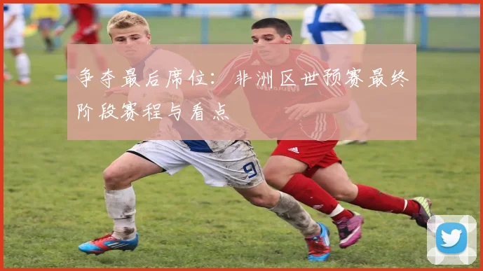 争夺最后席位：非洲区世预赛最终阶段赛程与看点