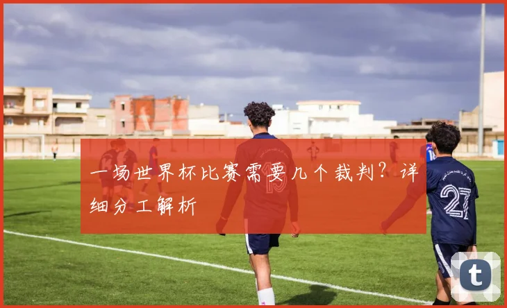 一场世界杯比赛需要几个裁判?详细分工解析