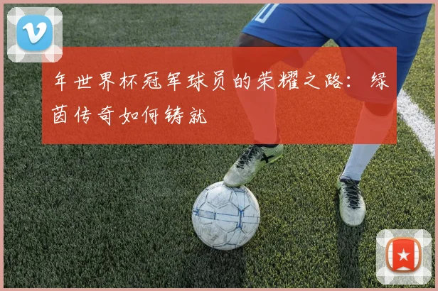 年世界杯冠军球员的荣耀之路:绿茵传奇如何铸就