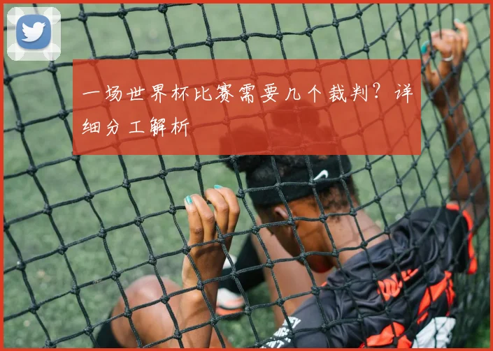 一场世界杯比赛需要几个裁判?详细分工解析