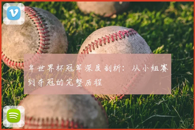 年世界杯冠军深度剖析:从小组赛到夺冠的完整历程