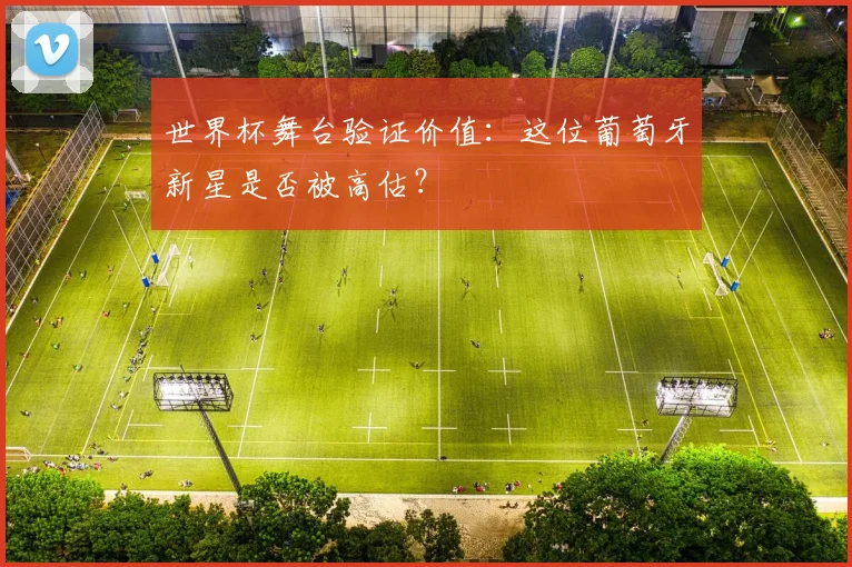 世界杯舞台验证价值：这位葡萄牙新星是否被高估？