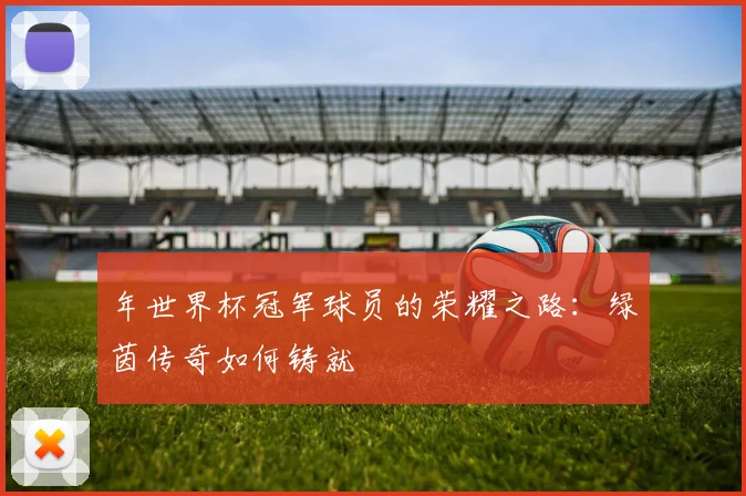 年世界杯冠军球员的荣耀之路:绿茵传奇如何铸就